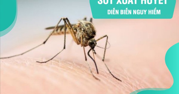 Top 5 bệnh truyền nhiễm do muỗi gây ra