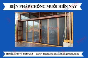 Biện Pháp Chống Muỗi An Toàn Mùa Mưa