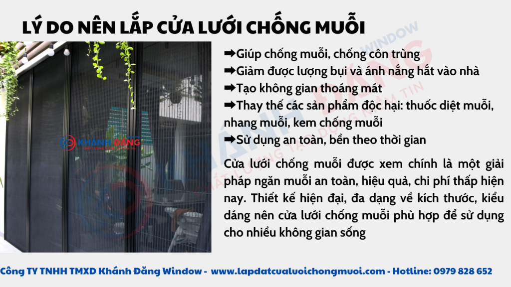Biện Pháp Chống Muỗi An Toàn Mùa Mưa